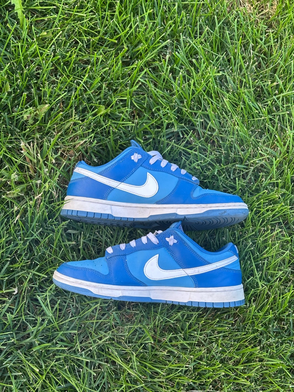 Men’s Nike dunk Low Blue and White Low-Top Sneaker